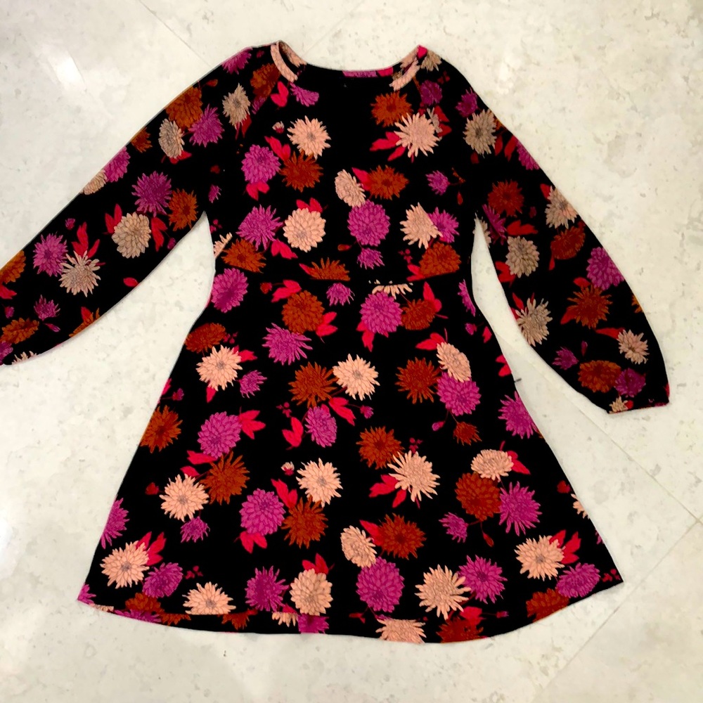 Ann Taylor dress